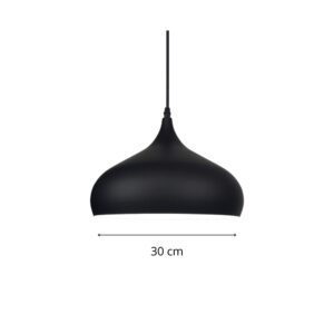 Suspension luminaire couleur V noir 30 cm